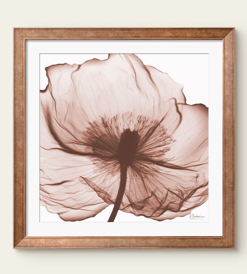 Mocha Mousse Mocha Mousse